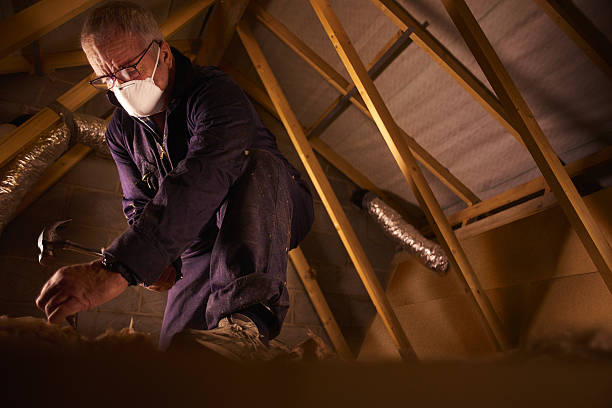 Best Insulation Materials and Products in Hardwick, GA